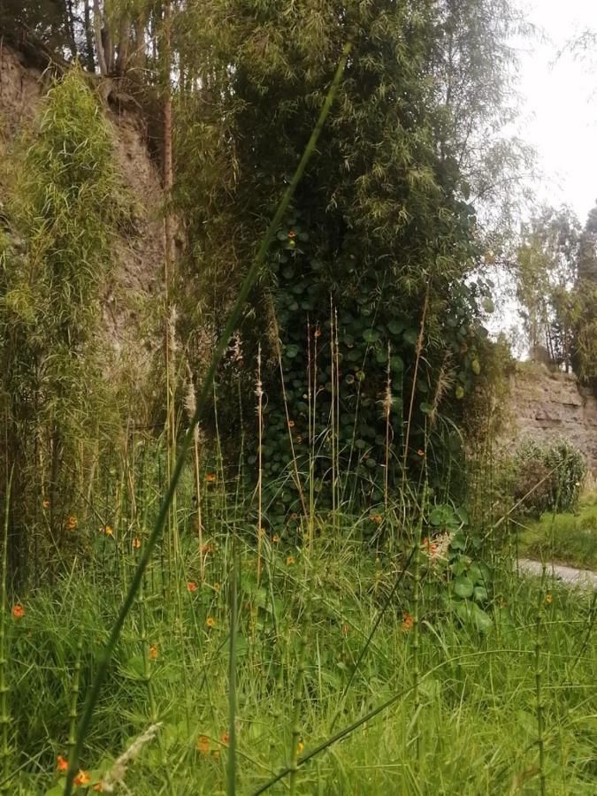 Hosteria La Gaviota Bed & Breakfast Riobamba Bagian luar foto